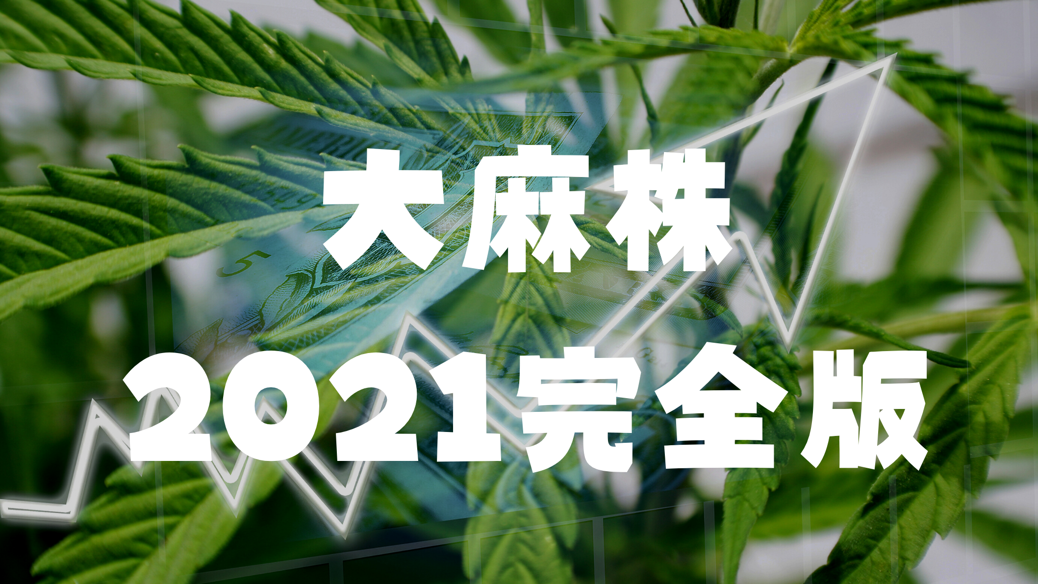 米国株投資 今後有望なアメリカ大麻株のチャート分析をしてみた テンバガー候補 初心者に優しい投資のアドバイザー 米国株投資 今後有望なアメリカ大麻株のチャート分析をしてみた テンバガー候補 初心者に優しい投資のアドバイザー